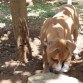 Con 4 meses recién cumplidos